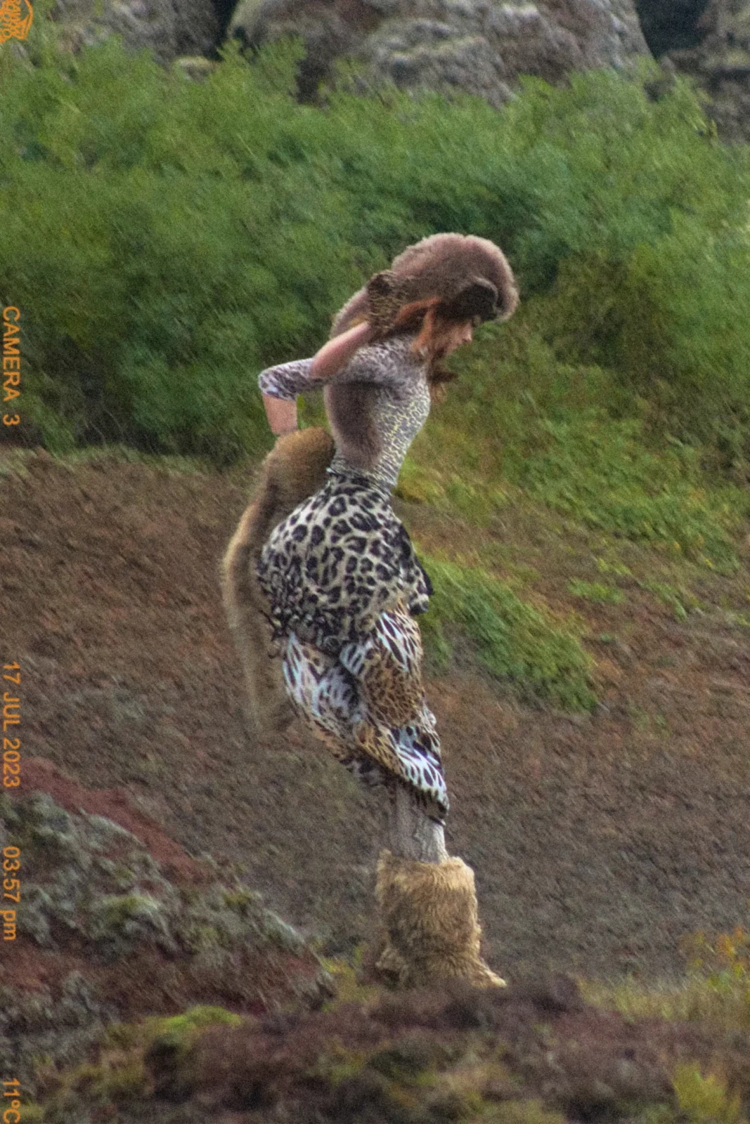 Full-length model in an animal-print outfit stretching backward on rocky ground beside a pool.