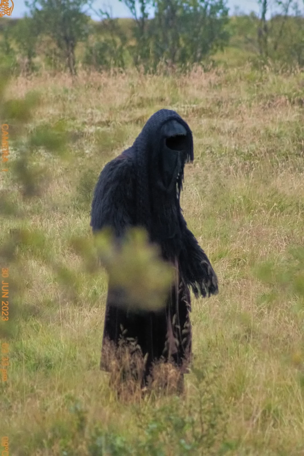 Figure covered head to toe in shaggy black material walking through an Icelandic grassy landscape.