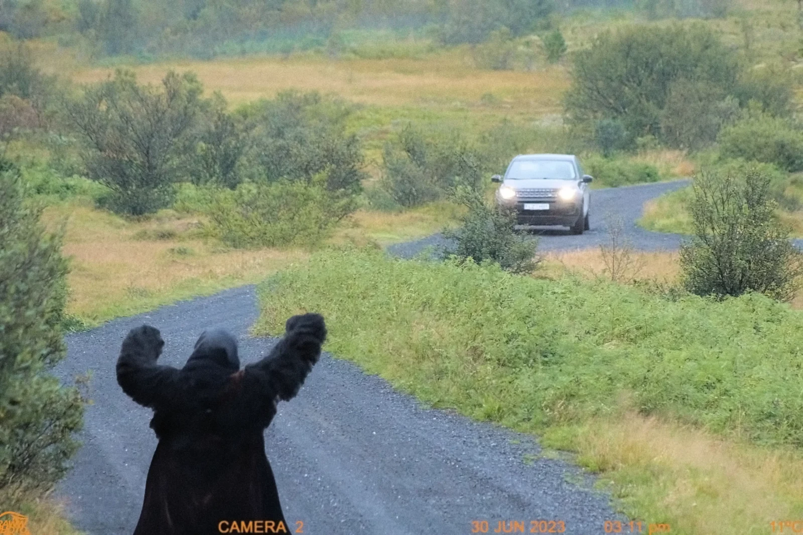 Black shaggy creature with both arms raised on an empty winding road as a car approaches.