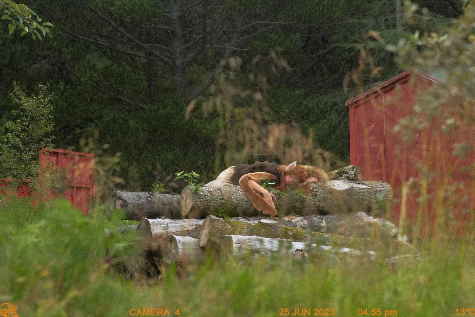 Fashion model sprawled on a mossy stone structure outdoors near a weathered red building.