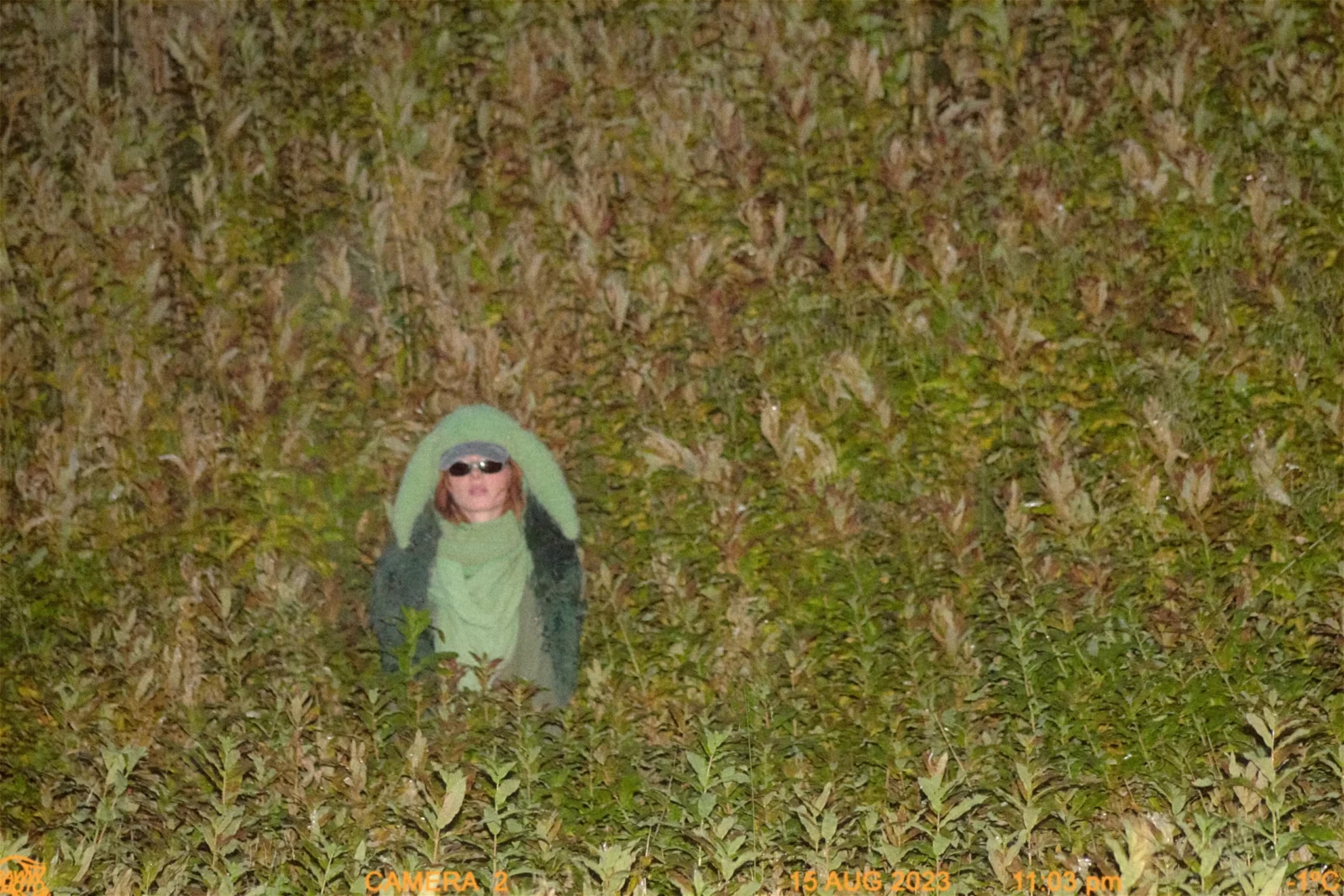 Distant portrait of a model in a green hooded outfit almost hidden in tall grass.