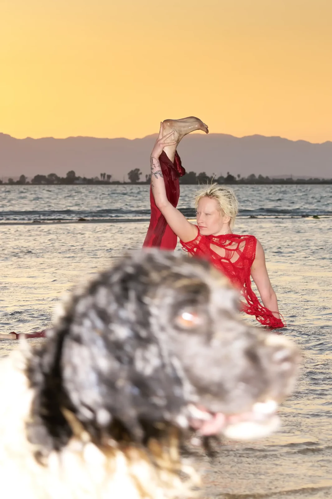 Blonde model in a red outfit posing in shallow water at sunset beside a shaggy dog.