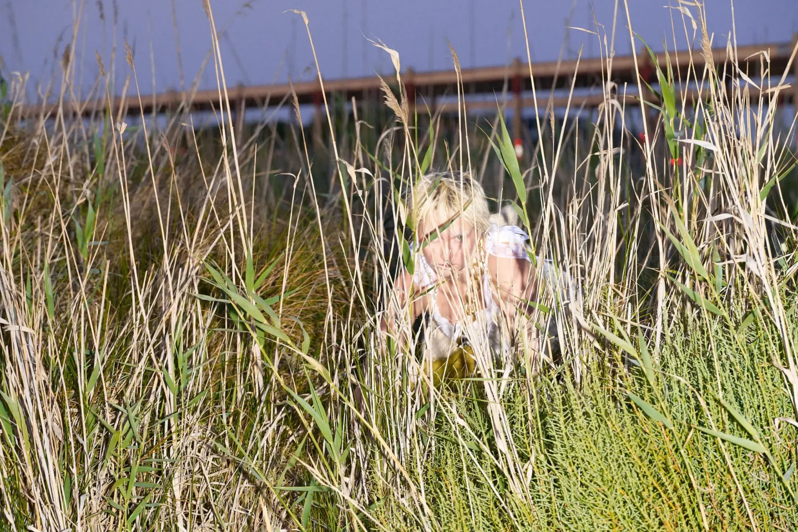 Model leaning among tall marsh reeds in a pale textured outfit.